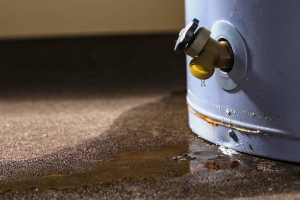 Best Carpet water damage restoration  in Williamson, AZ