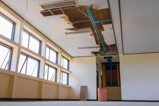 Best Mold removal after water damage  in Williamson, AZ