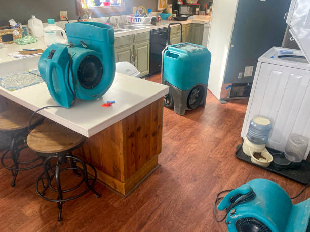 Best Water damage cleanup near me  in Williamson, AZ