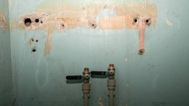 Best Water damage cleanup near me  in Williamson, AZ