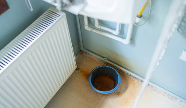 Best Fire Damage Restoration  in Williamson, AZ