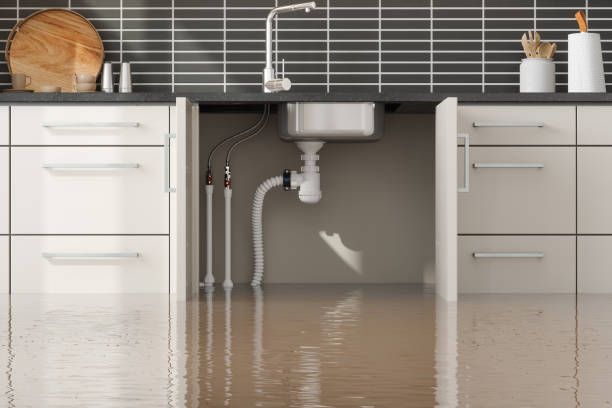 Best Commercial water damage restoration  in Williamson, AZ